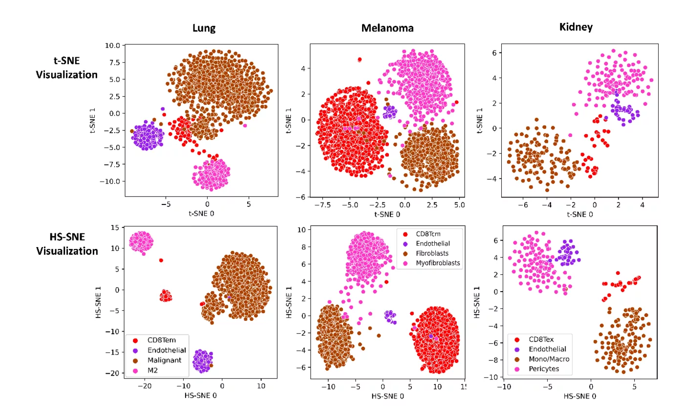 t-SNE and hyperspherical SNE embeddings across three single-cell datasets