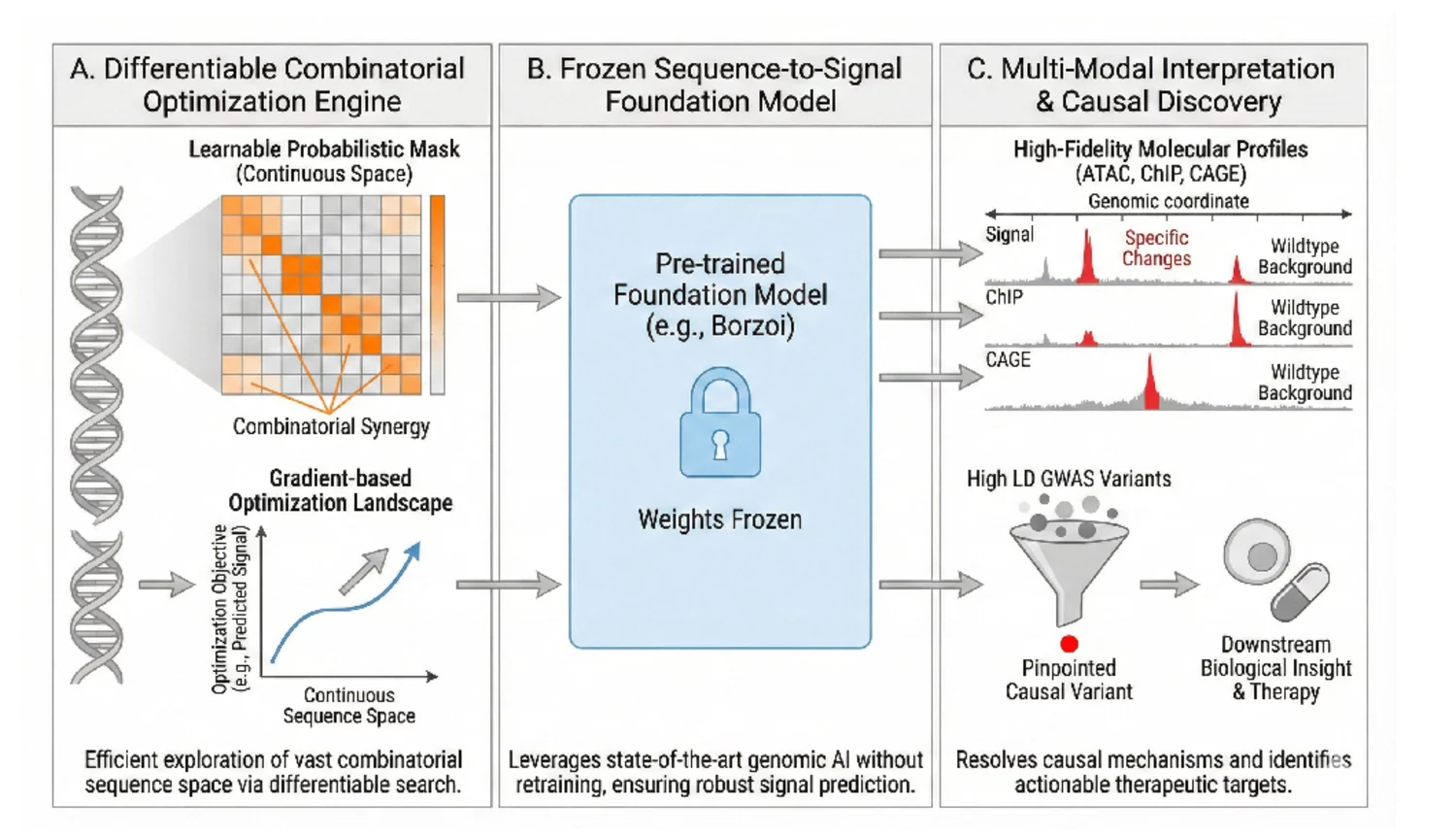 MUGO differentiable causal variant discovery framework